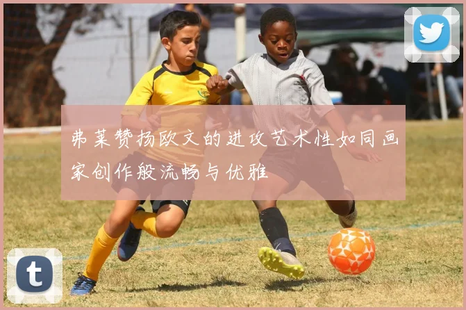 弗莱赞扬欧文的进攻艺术性如同画家创作般流畅与优雅